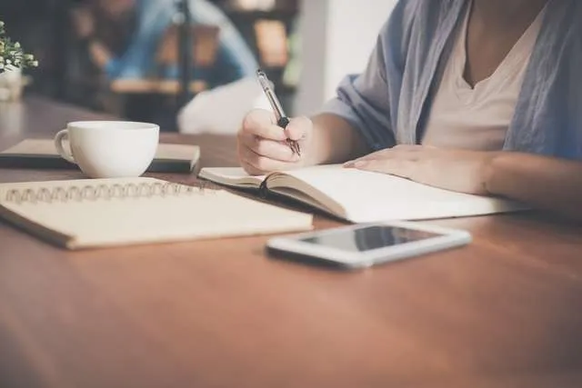 Journal and project summary for weekly review